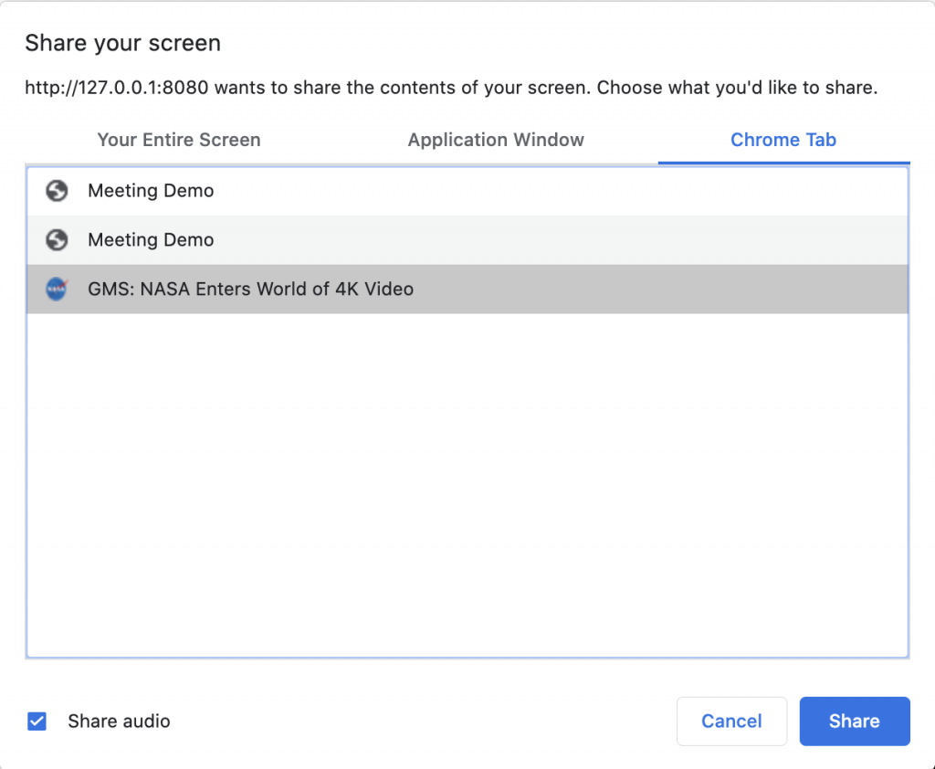 A screenshot of Google Chrome's screen share dialog, showing a tab being selected and the share audio checkbox checked