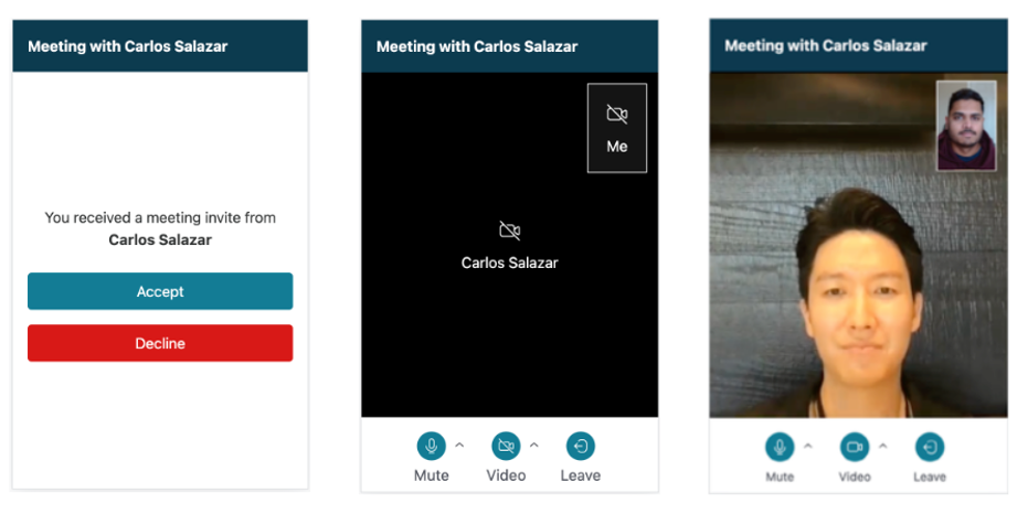 telehealth-widget-audip-video-meeting-patient