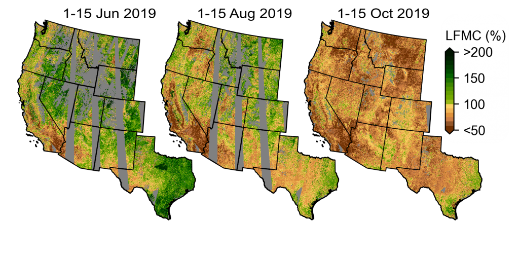 Forest dryness mapped using our LSTM model. Forest dryness is displayed as a percentage of water in trees relative to their dry biomass.