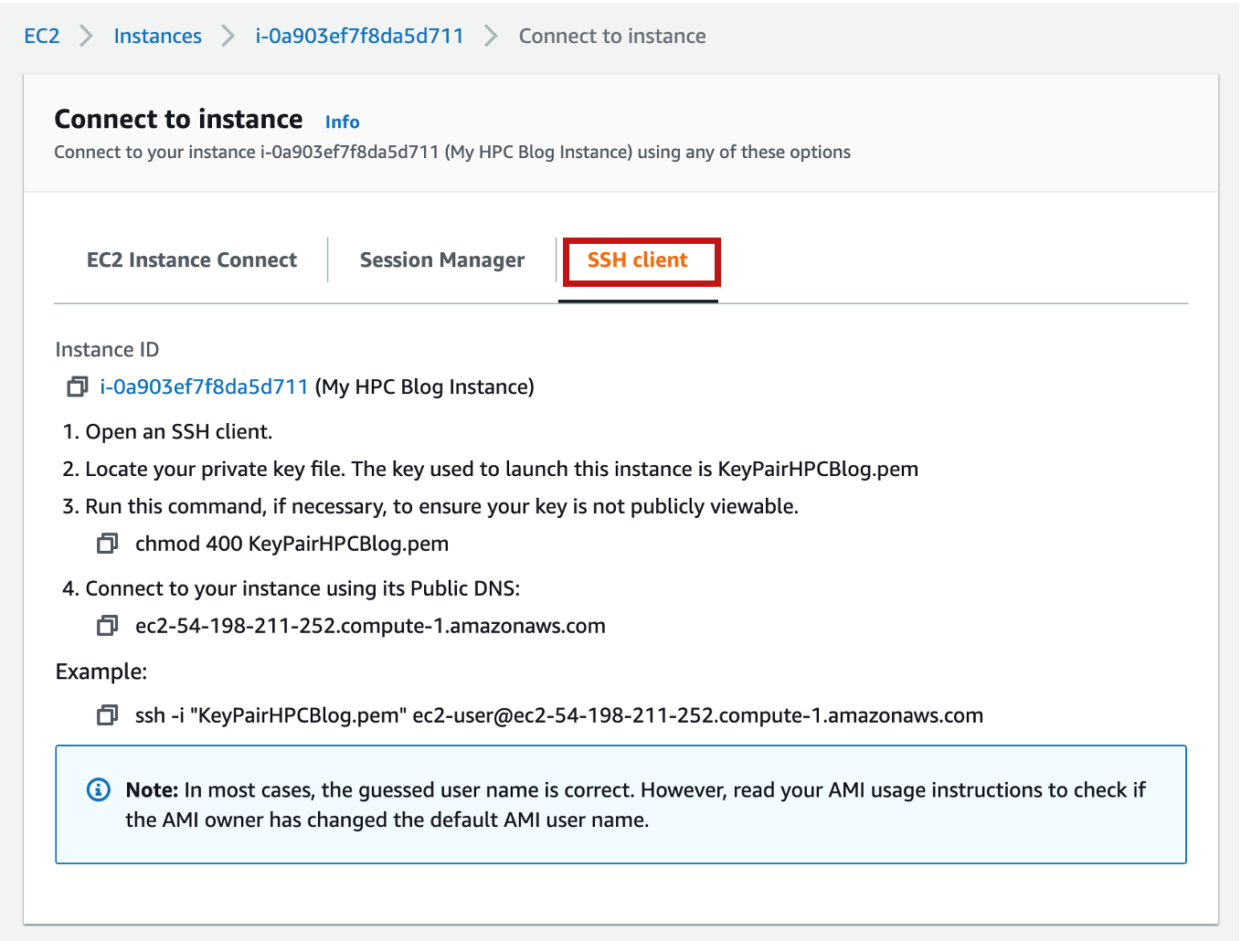 Figure 6. Select the SSH client tab to find the IP address and SSH command to connect to your instance.