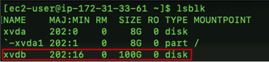 Figure 7. List the volumes of your instance. Write the name of your 100GB volume; here it is xvdb.