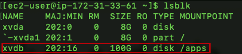 Figure 8. Use the lsblk command to verify your volume.
