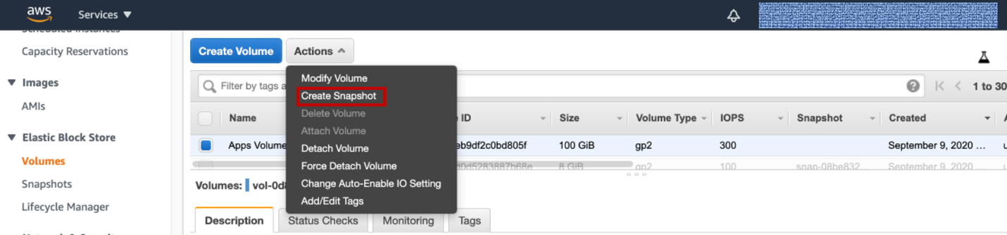 Figure 9. Under Actions, select Create Snapshot.