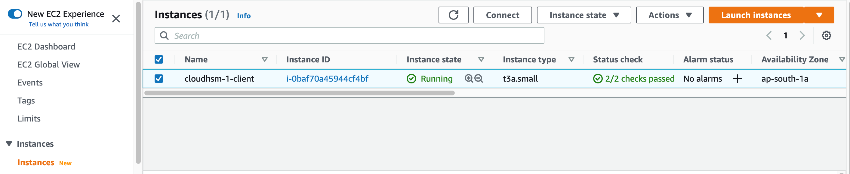 Figure 5. CloudHSM management instance running in private subnet.