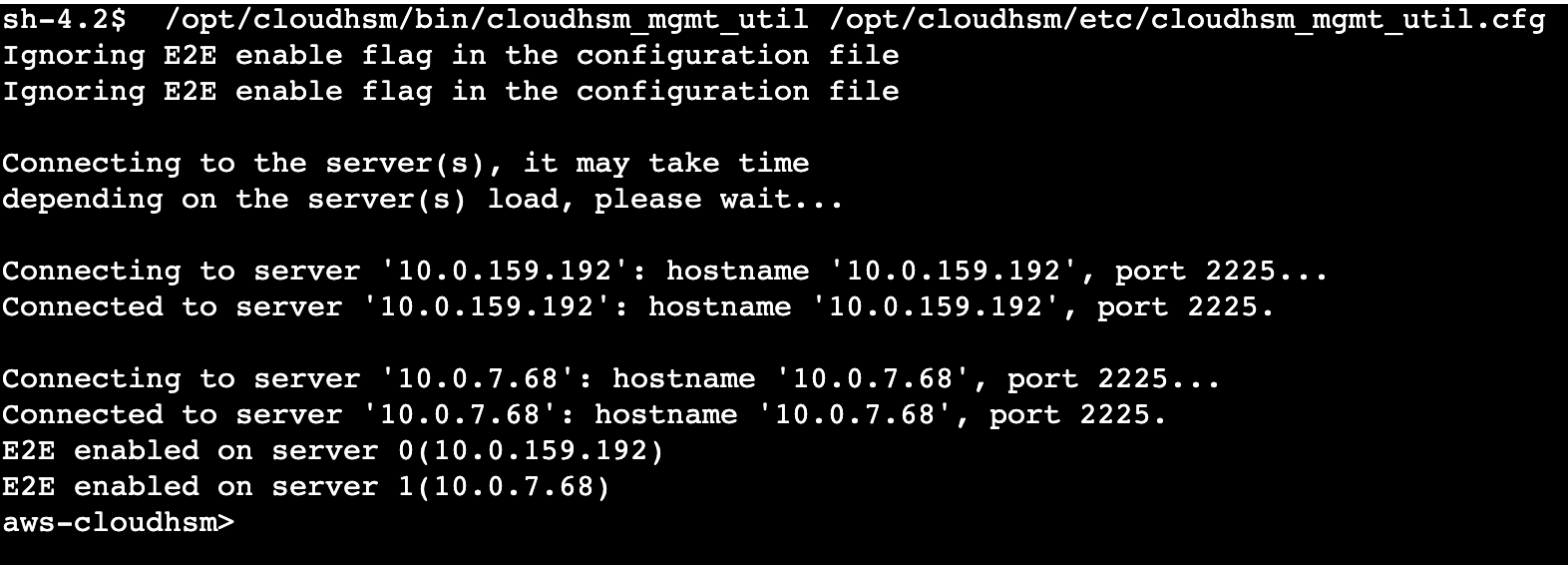 Figure 6. The CMU connects to both HSM nodes using private IP addresses.