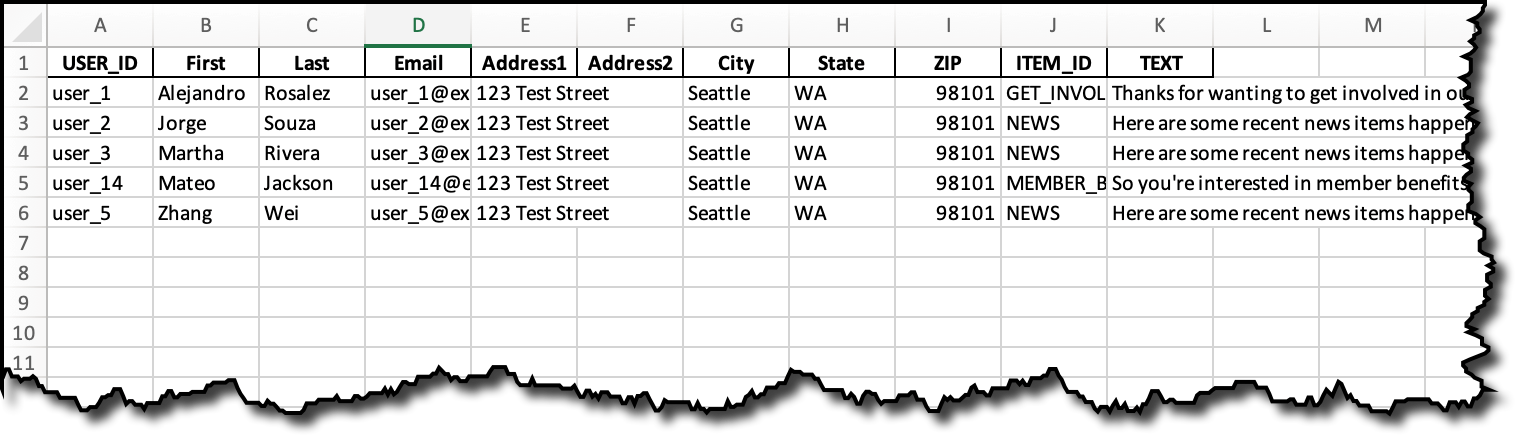 Figure 6. The Excel results updated with an ITEM_ID and TEXT column, representing the personalization recommendation for each member.