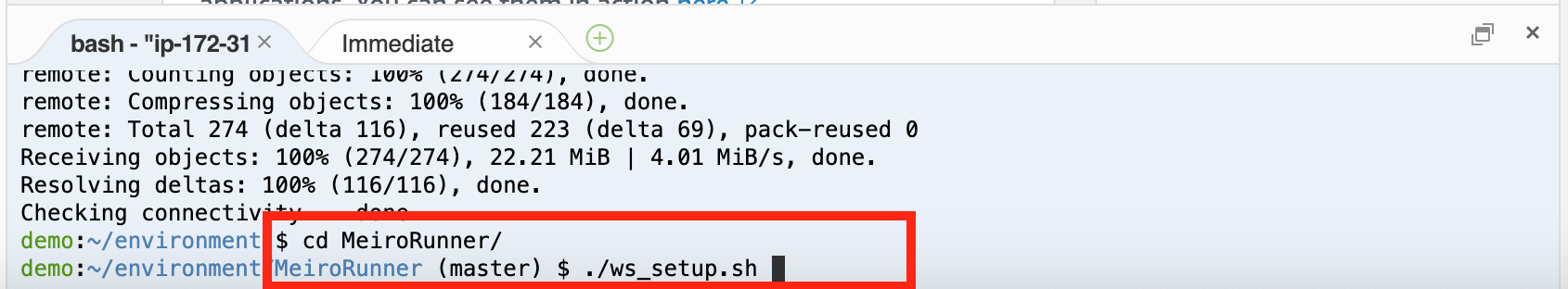 Execute setup script