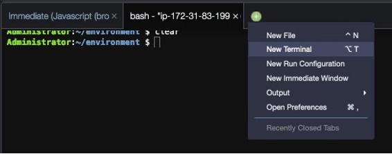 AWS Cloud9 IDE open new terminal window.