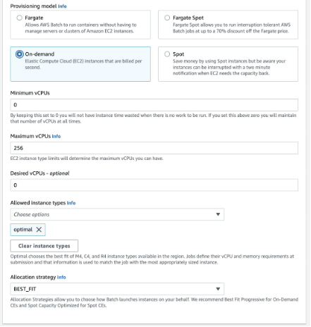 Console screenshot of provisioning model, vCPU, and allocation strategy settings.