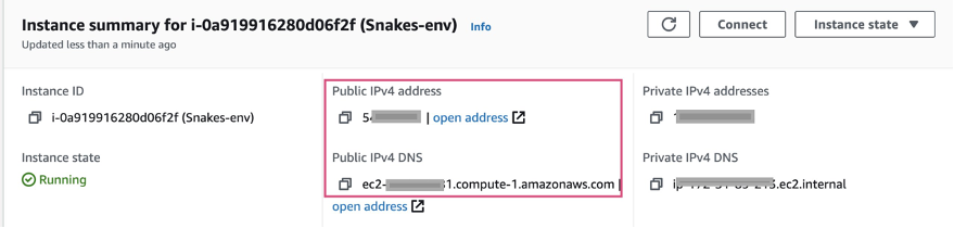 Instance summary in the EC2 console
