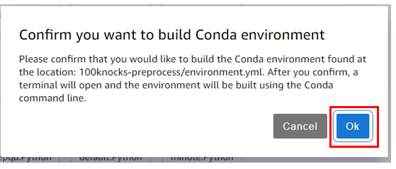 build Conda Environment