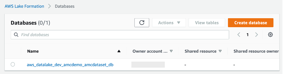 amcinsights_lakefndatabase