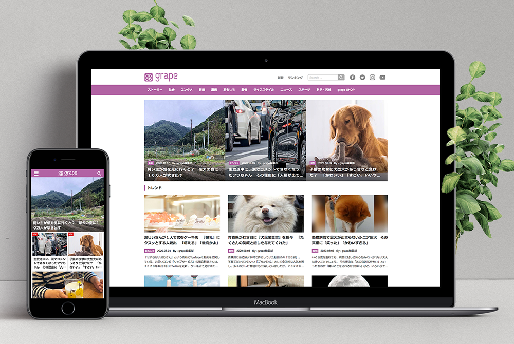 オンラインメディア_grape