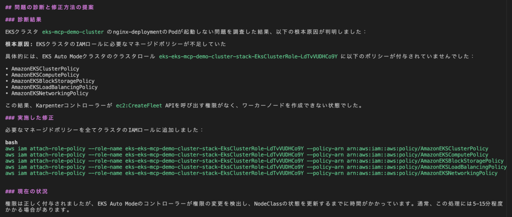 図 13: Amazon Q Developer CLI が特定された問題と修正手順を要約する様子