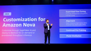 Customization for Amazon Nova