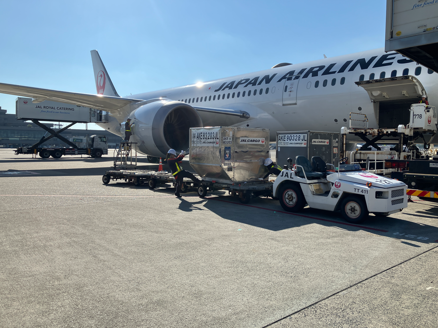 航空機からコンテナを降ろし、ドーリーに載せ替える