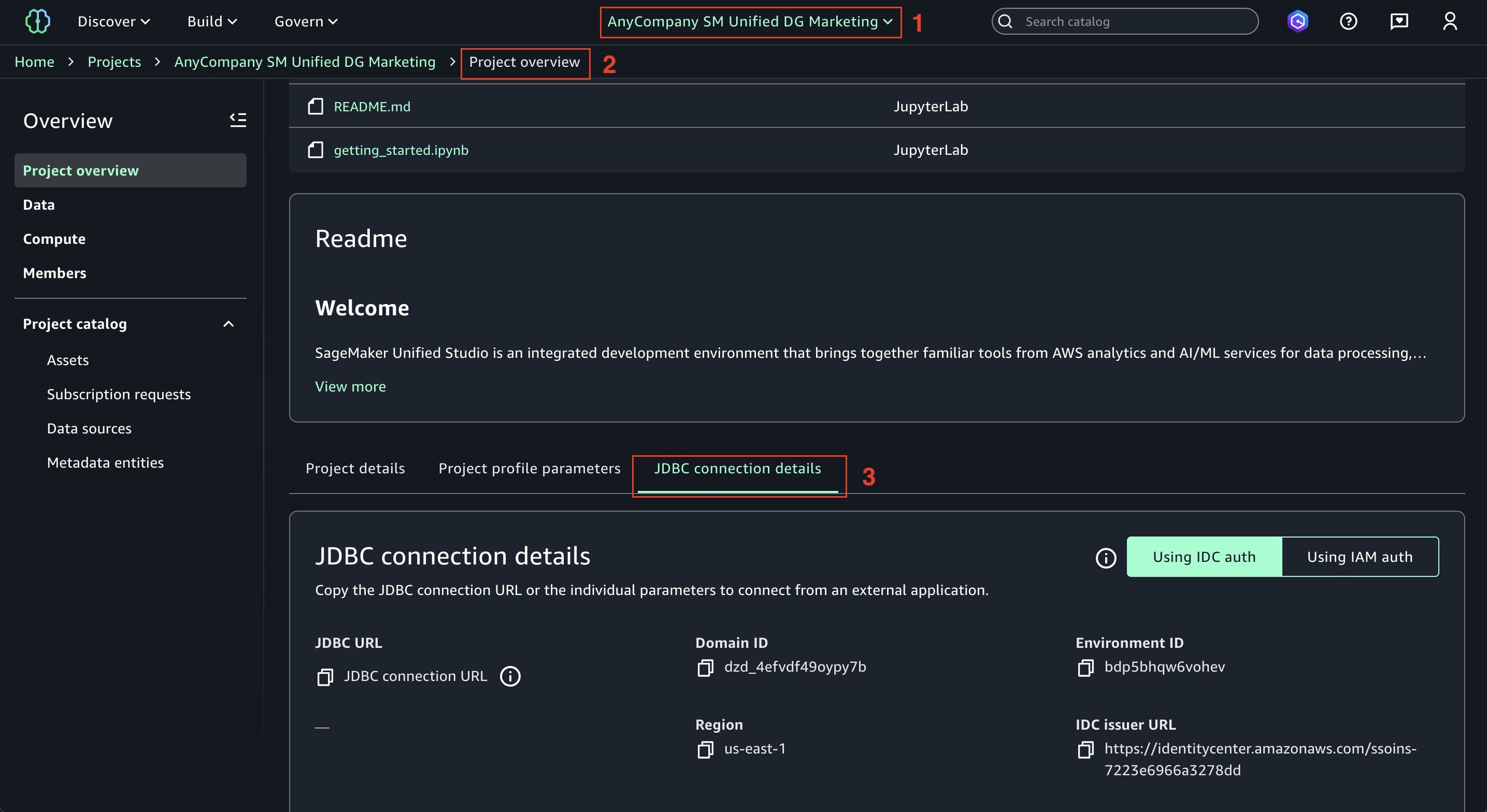 SageMaker Unified Studio Project overview page showing JDBC connection parameters for external application integration