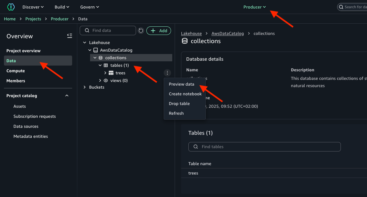 AWS Data Catalog interface: collections database in Lakehouse with trees table, presenting preview/notebook/drop options