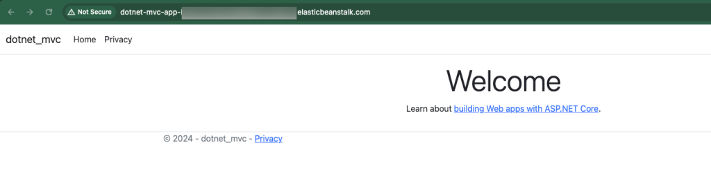 Figure 28: Application running on Elastic Beanstalk