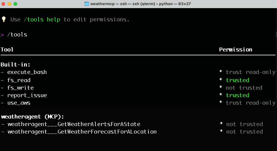 Terminal screnshot showing list of discovered MCP tools