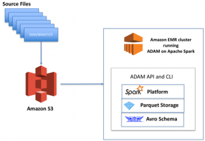 Bioinformatics_Image_1