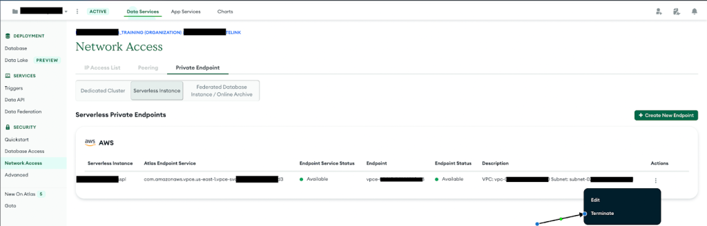 Endpoint Termination UI