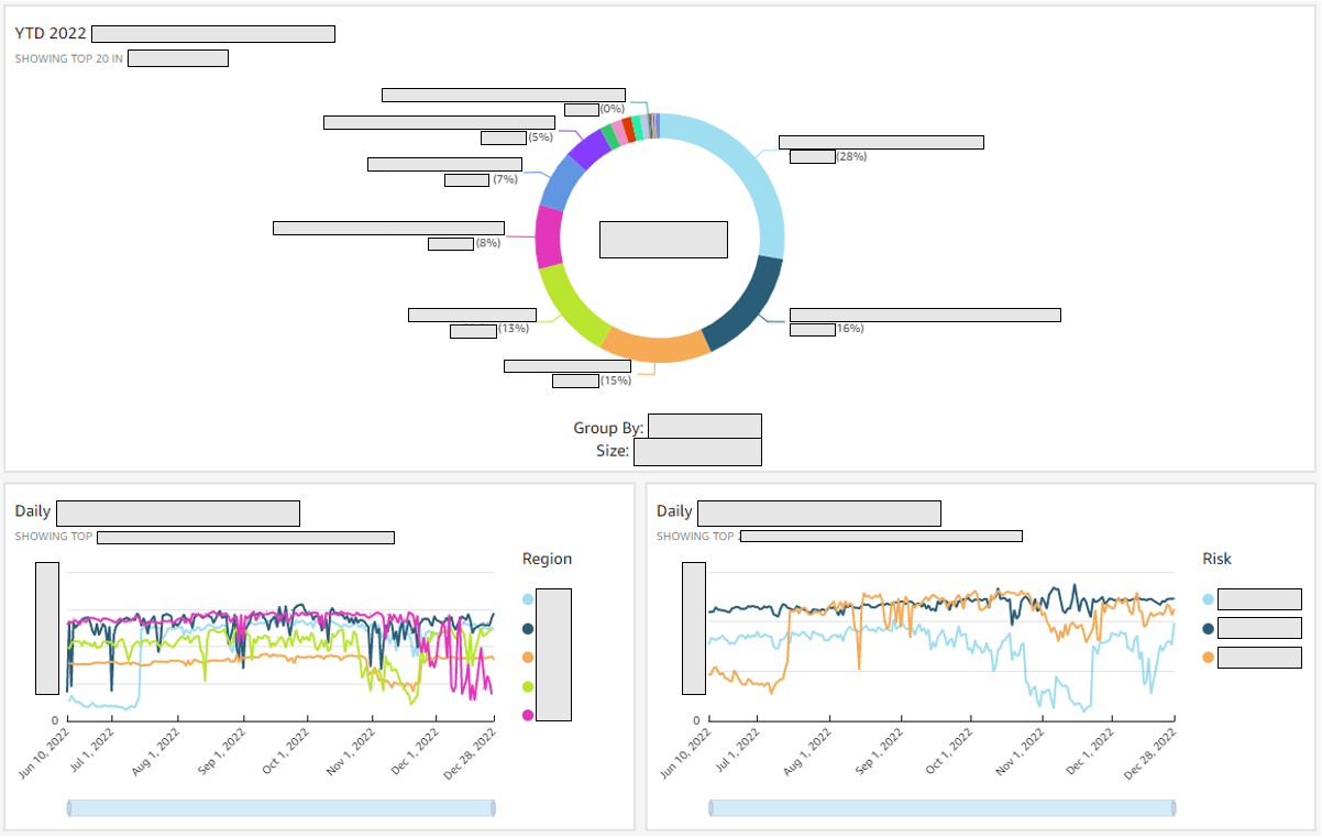 Screenshot example of year-to-date visualization, with all sensitive data redacted