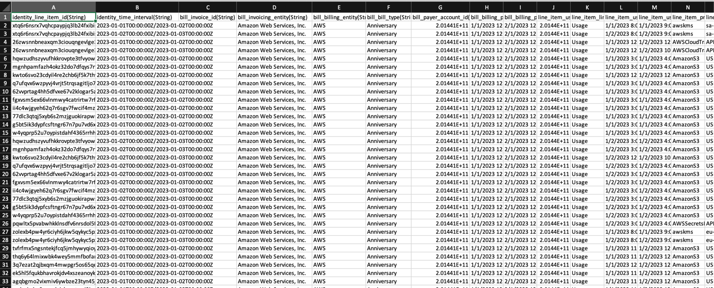 sample cost and usage report