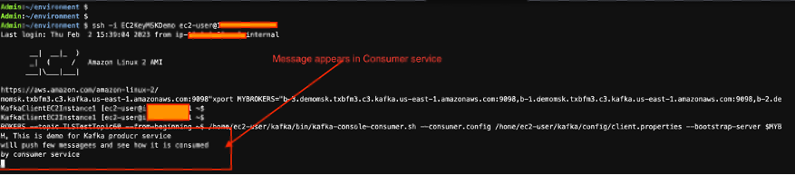 Starting Kafka consumer service