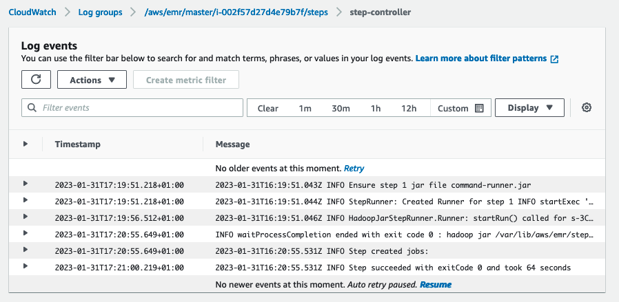 Information about the processing of the step.
