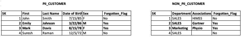 PII-Non PII Example Tables