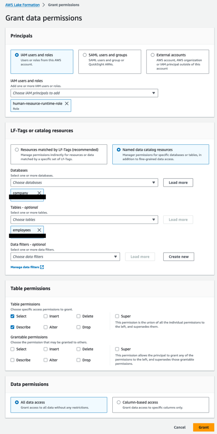 Grant permission on the employees table to human-resource-runtime-role 