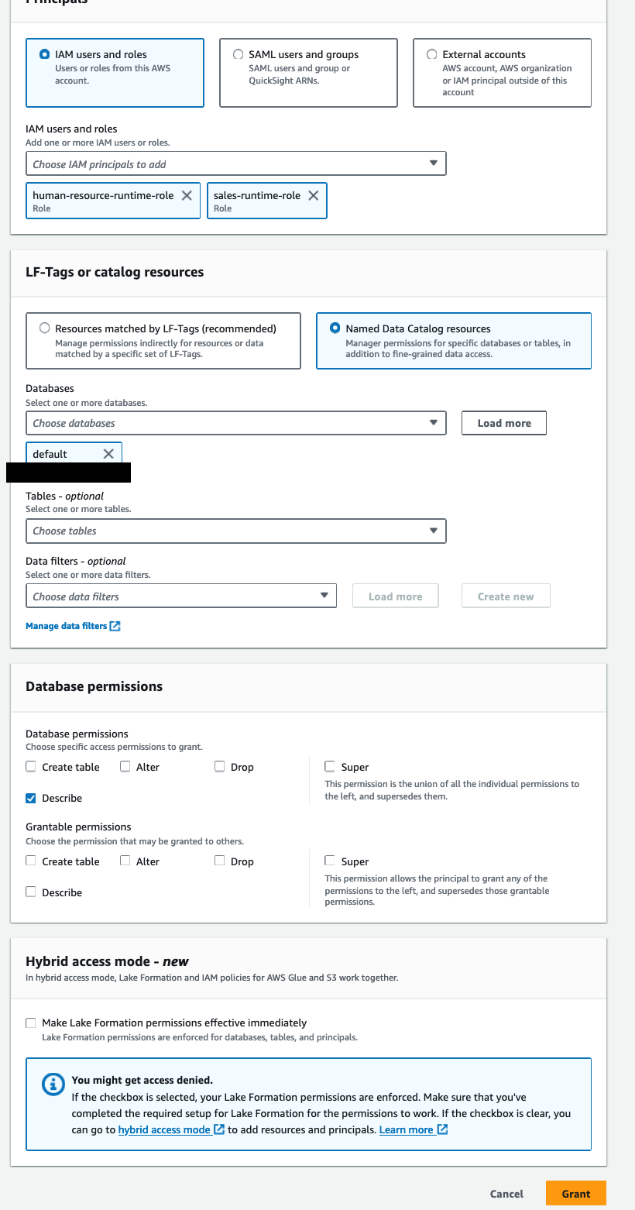 Grant describe permissions to runtime roles on the default database
