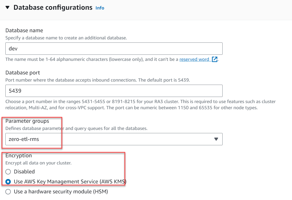 Database configuration showing parameter groups and encryption