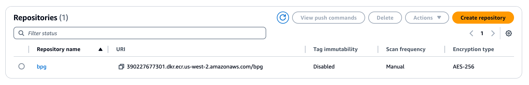 Image showing the Amazon ECR setup