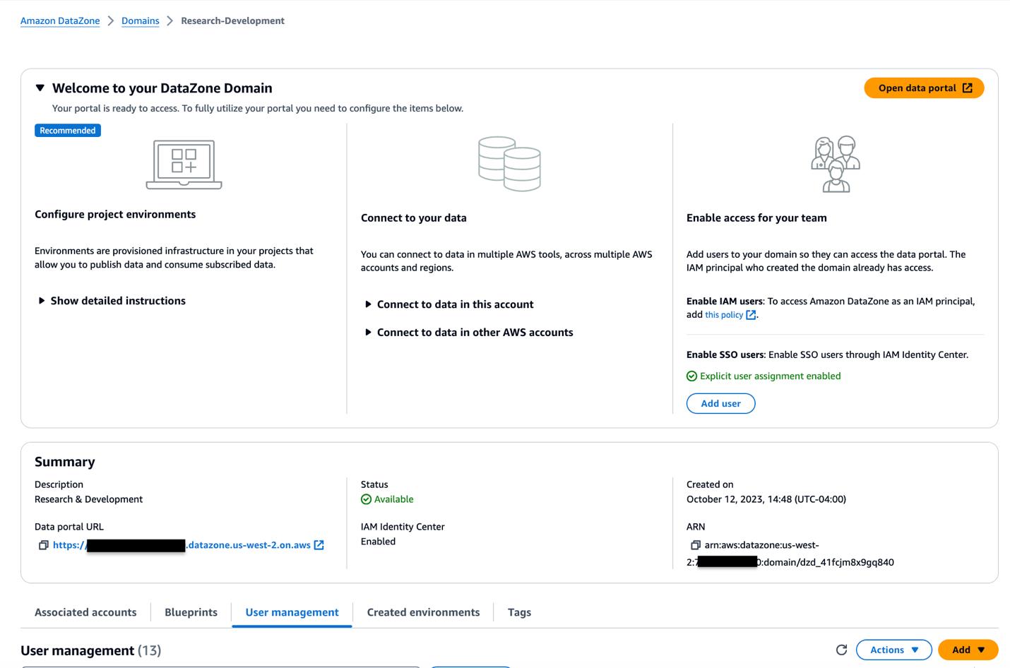 DataZone domain creation