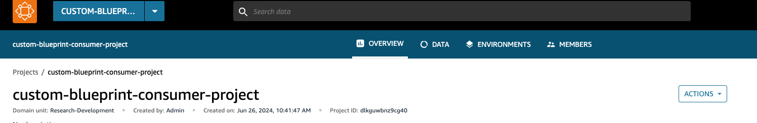 Custom blueprint project name