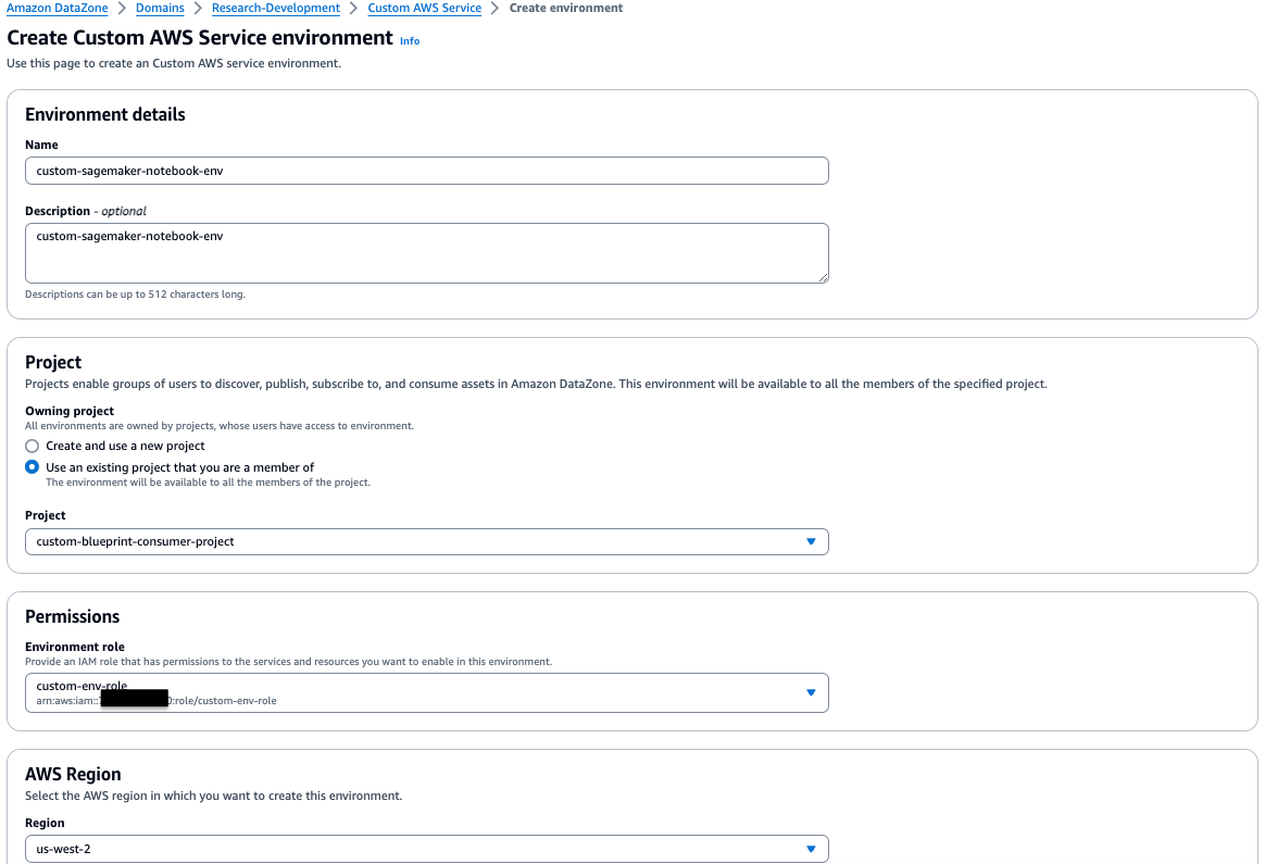 Custom environment project and role