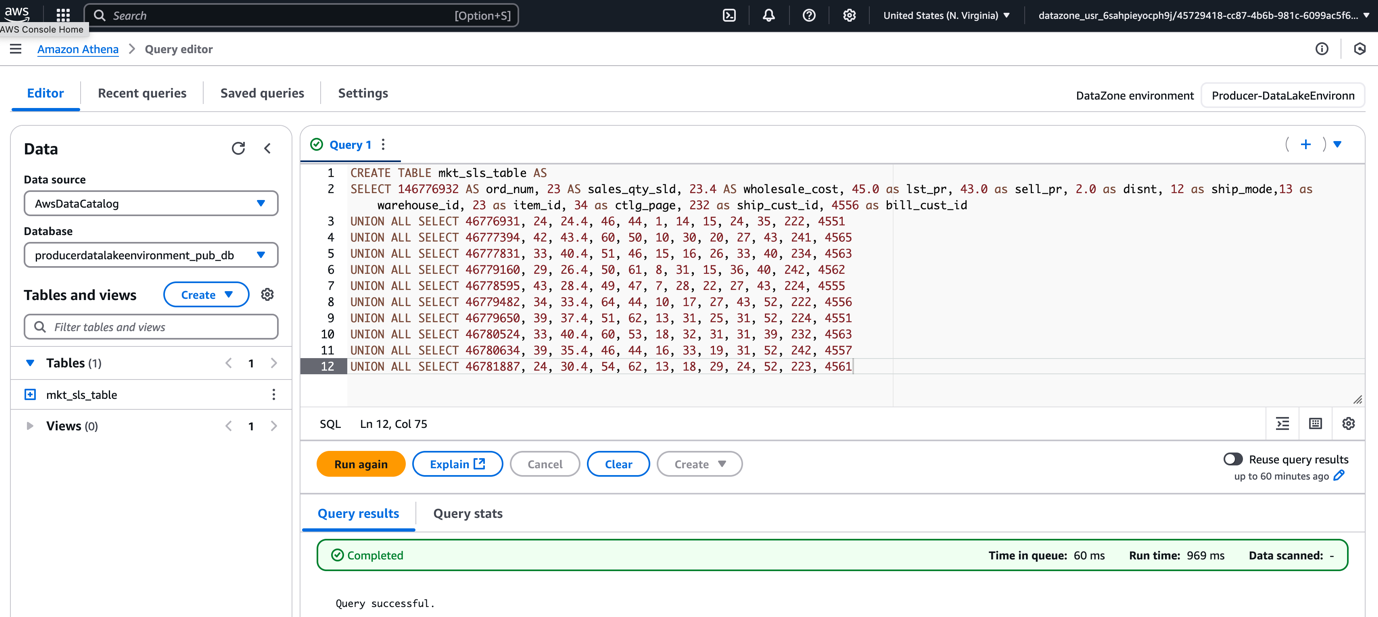 Screenshot datazone-run-query