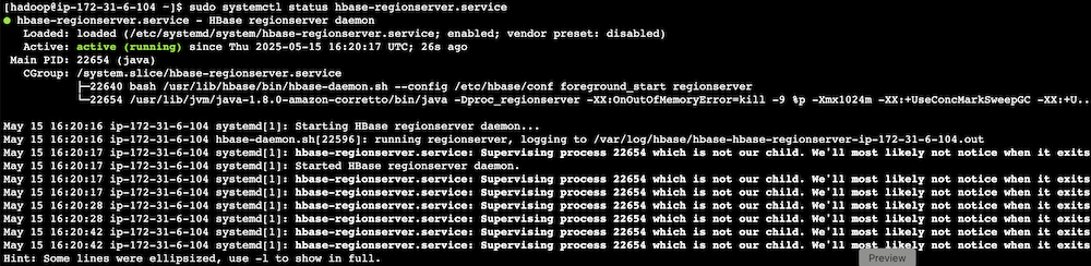 Terminal output showing HBase RegionServer service status and daemon processes