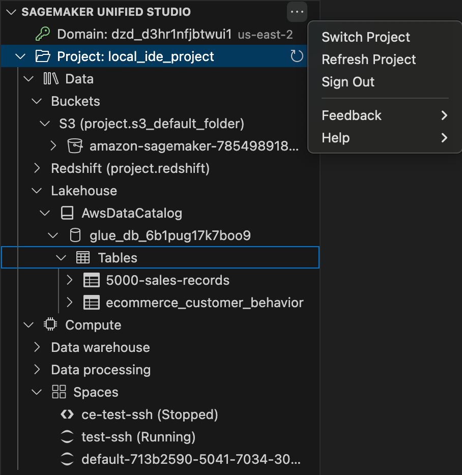 Viewing data and compute resources and switching projects in local VS Code