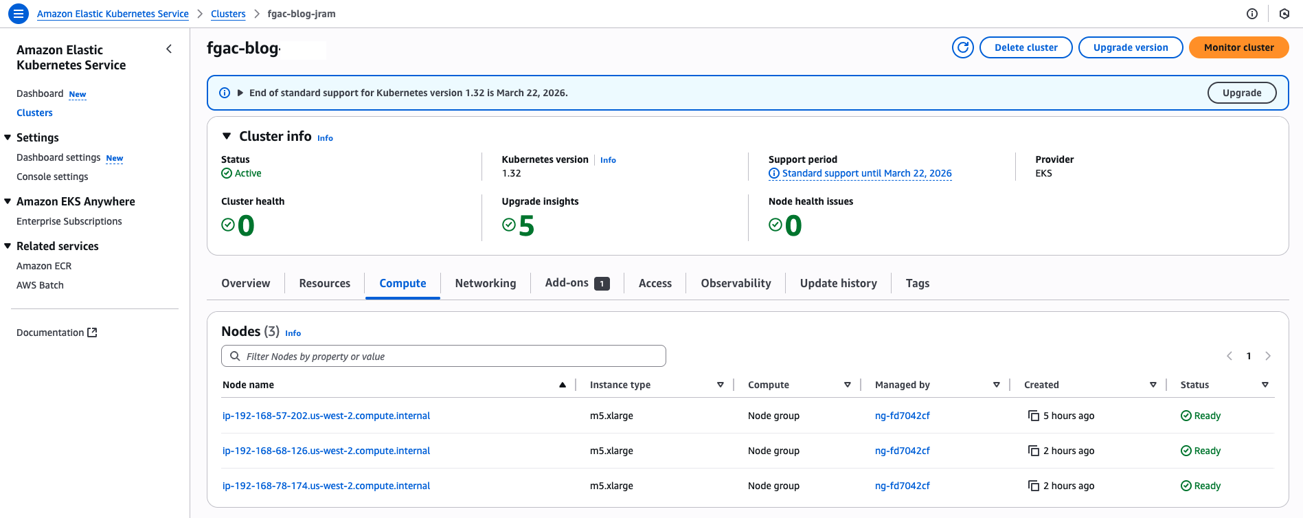 EKS Cluster view page