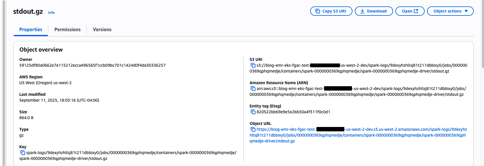 S3 path to view logs