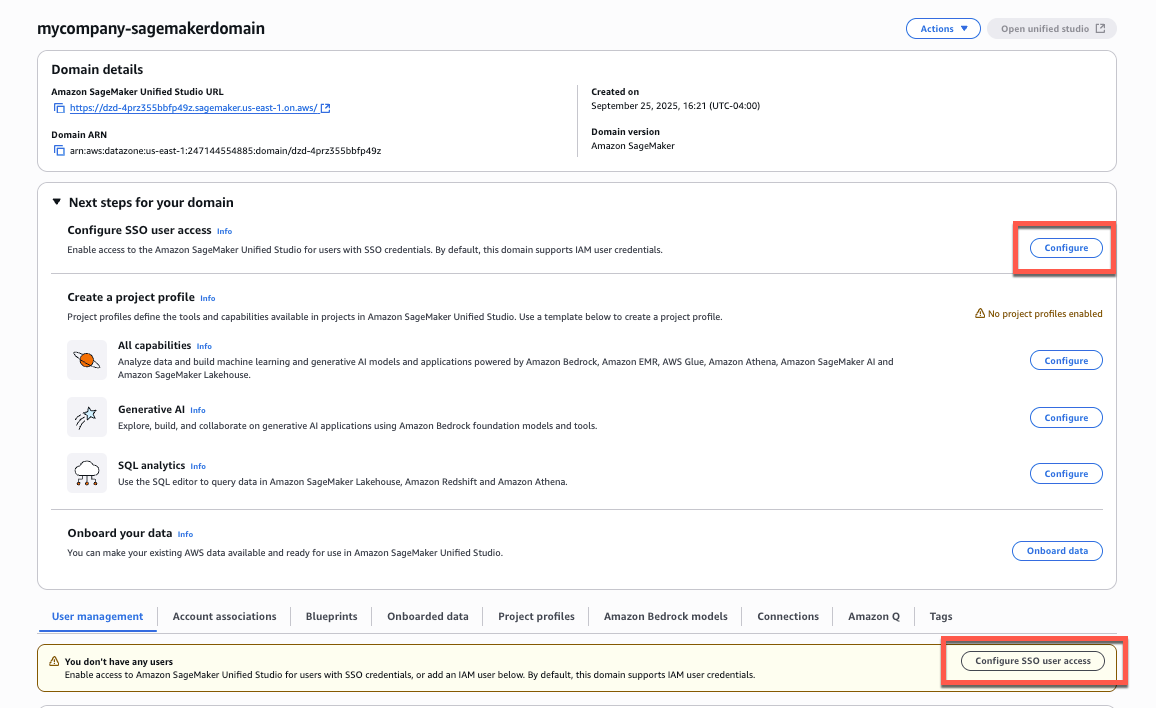 SageMaker Unified Studio SSO configuration 