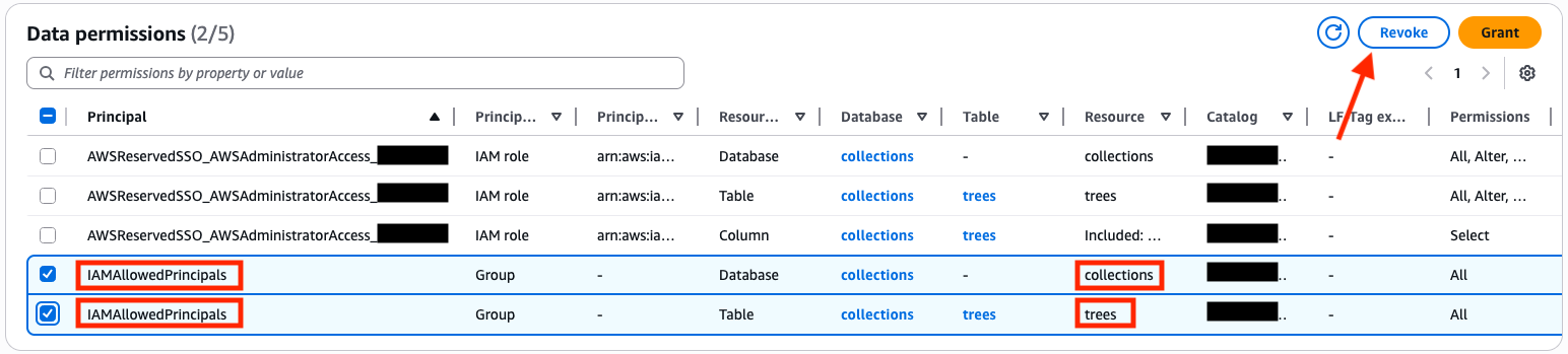 Data permissions table: 2 of 5 IAMAllowedPrincipals entries selected. All permissions granted for collections DB & trees table