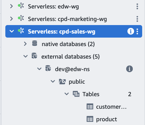 Figure 7: Connect to Sales data warehouse as IDC user
