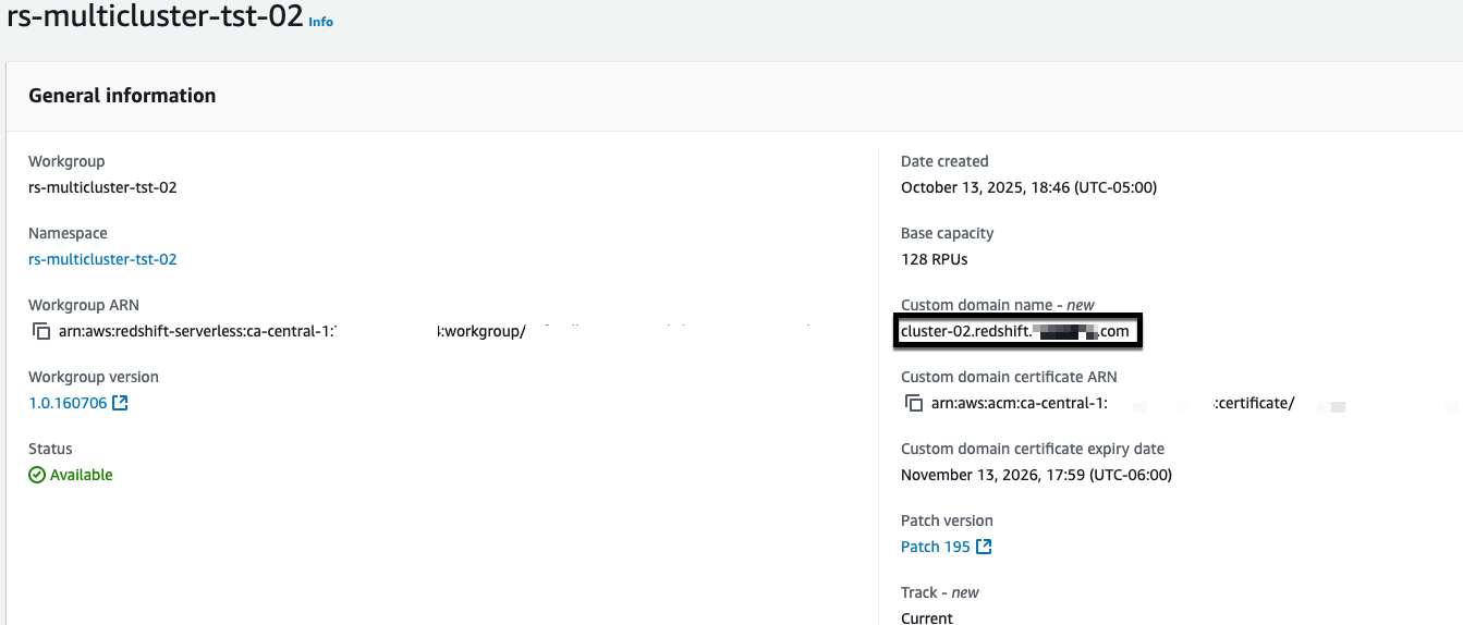 Figure 10: Amazon Redshift custom domain name