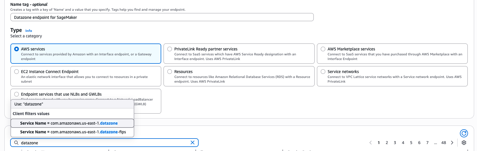 Figure 4 - Interface Endpoint creation wizard for AWS Service datazone