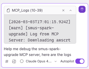 MCP servers panel after iterating on configuration fixes, showing servers connected