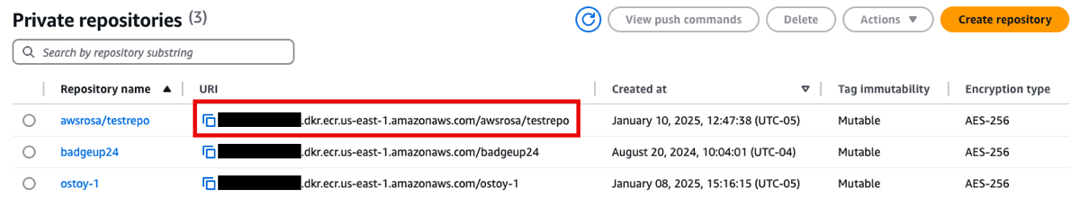 URI value of the new private repository